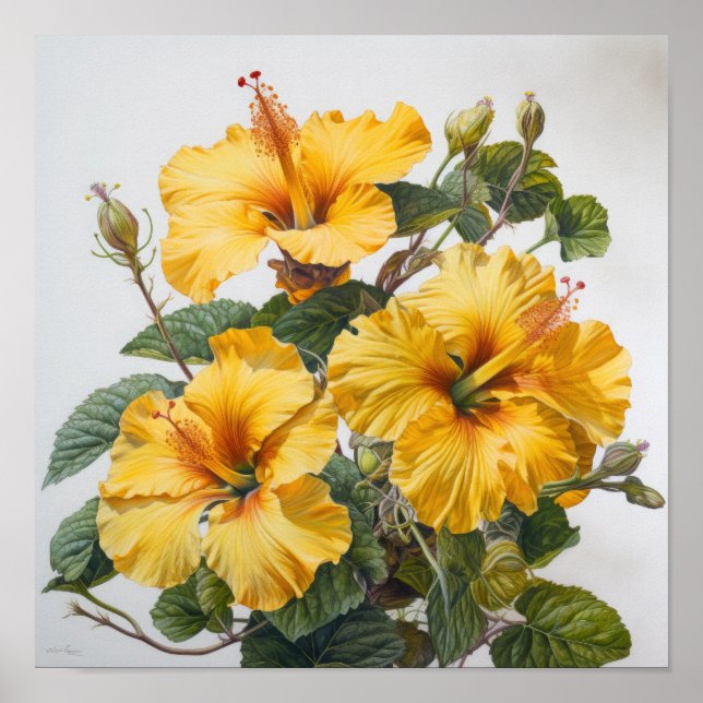 Poster d'impression d'hibiscus jaune (Devant)