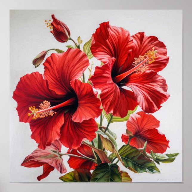 Poster d'impression d'hibiscus rouge (Devant)