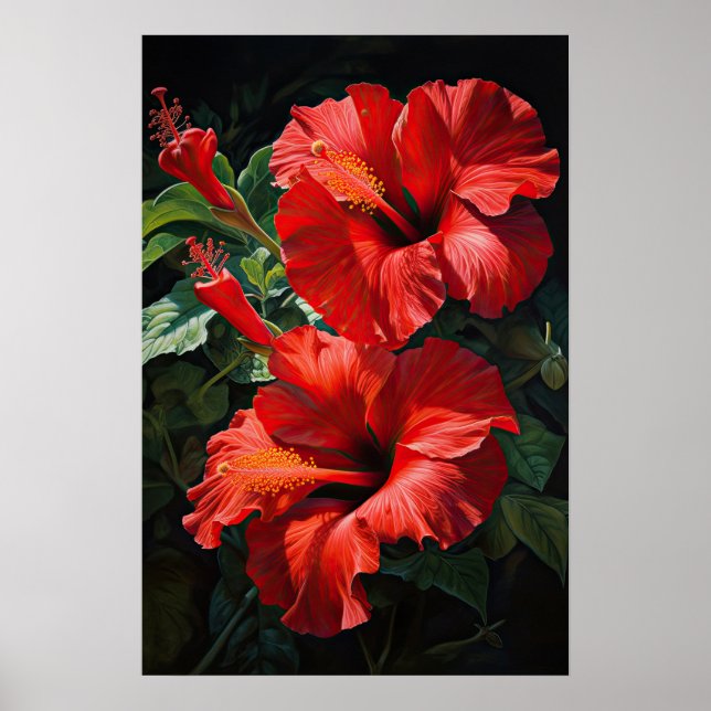 Poster d'impression d'hibiscus rouge (Devant)
