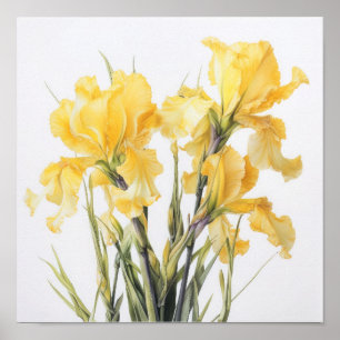 Poster d'impression d'images de fleurs irlandaises