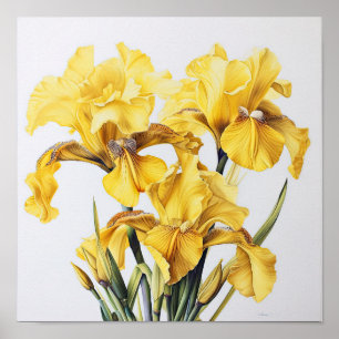 Poster d'impression d'images de fleurs irlandaises