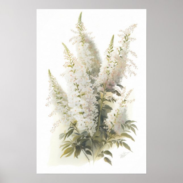 Poster d'impression en blanc Astilbe Flower Art (Devant)