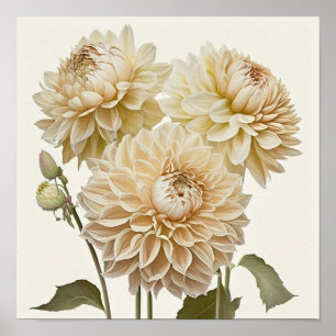 Poster d'impression en blanc Dahlias