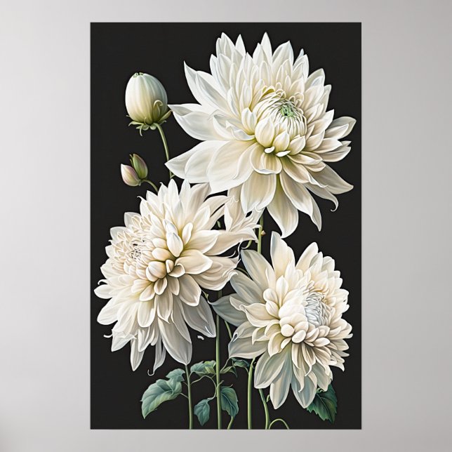 Poster d'impression en blanc Dahlias (Devant)