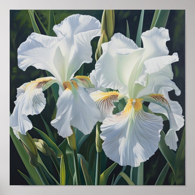 Poster d'impression en blanc Irises (Devant)