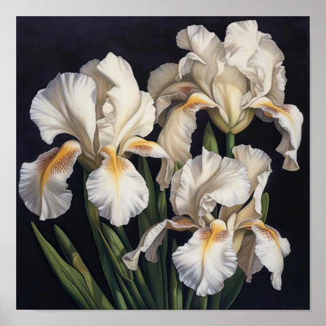 Poster d'impression en blanc Irises (Devant)