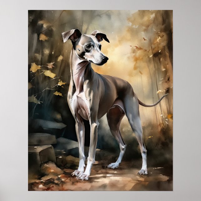 Poster d'impression italien Greyhound Dog Art (Devant)