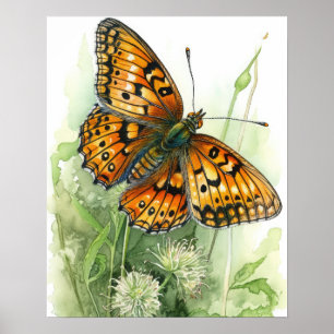 Poster d'impression Meadow Fritillen Papillon