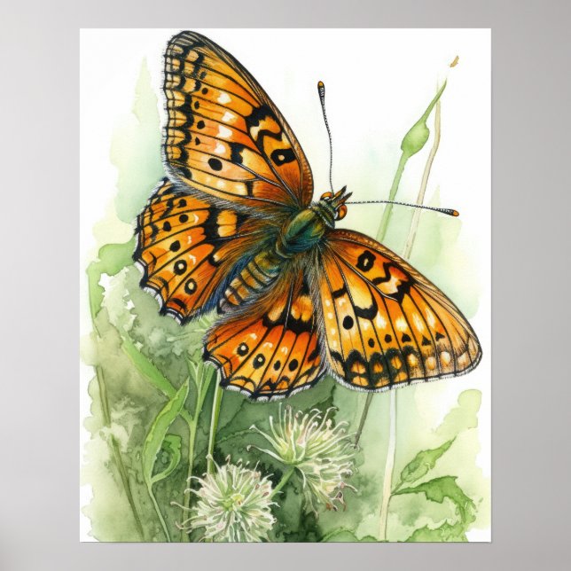 Poster d'impression Meadow Fritillen Papillon (Devant)