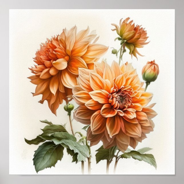 Poster d'impression Orange Dahlias (Devant)