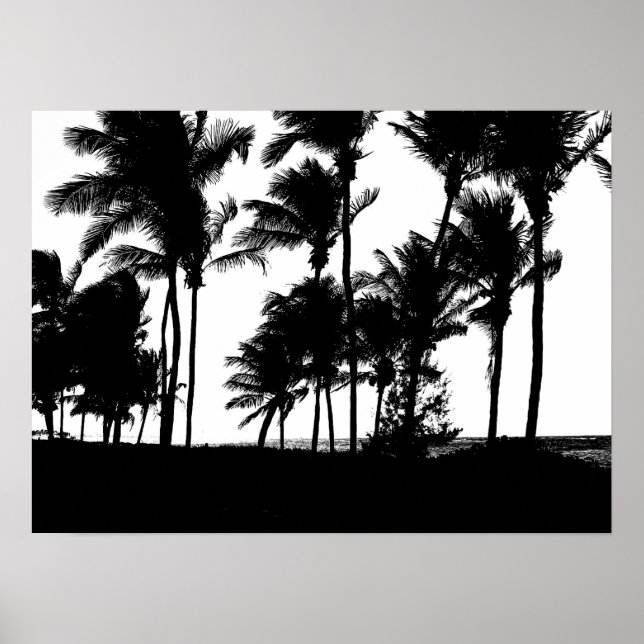 Poster d'impression Palms noirs (Devant)