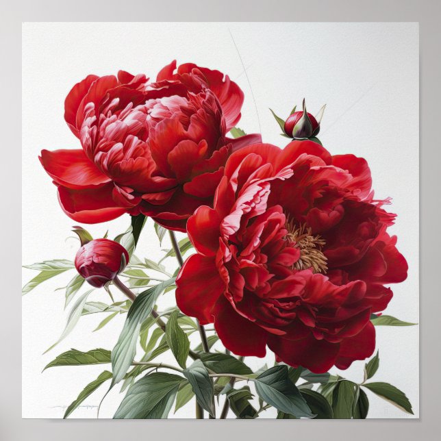 Poster d'impression Red Peonies (Devant)