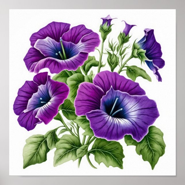 Poster d'impression violet Petunias (Devant)