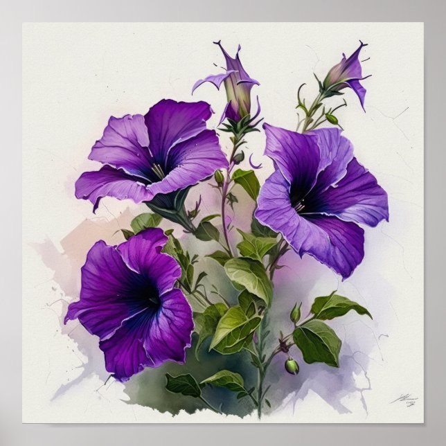 Poster d'impression violet Petunias (Devant)
