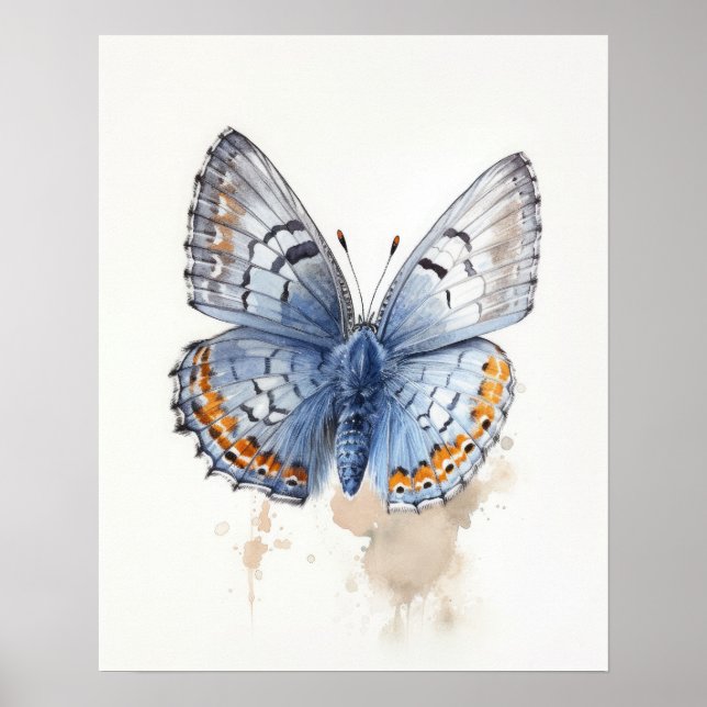 Poster d'impression Western Pygmy Butterfly Art (Devant)