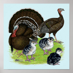 Poster Dinde Famille Bronze Standard