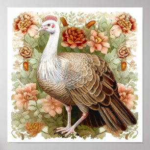 Poster Dinde sauvage dans la prairie peinture art imprime