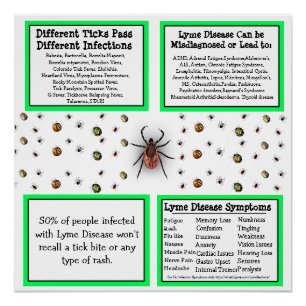 Poster d'information sur la maladie de Lyme