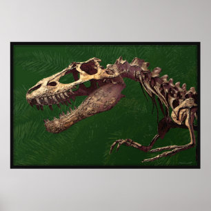 Poster Dino T Rex -60x40 -autres tailles disponibl