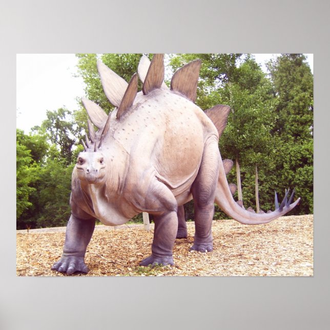 Poster Dinosaure (Devant)