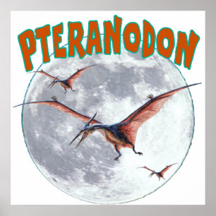 Poster Dinosaure de Pteranodon