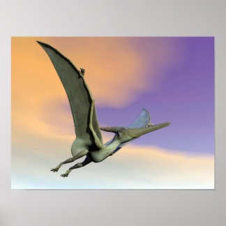 Poster Dinosaure Pteranodon volant - rendu 3D