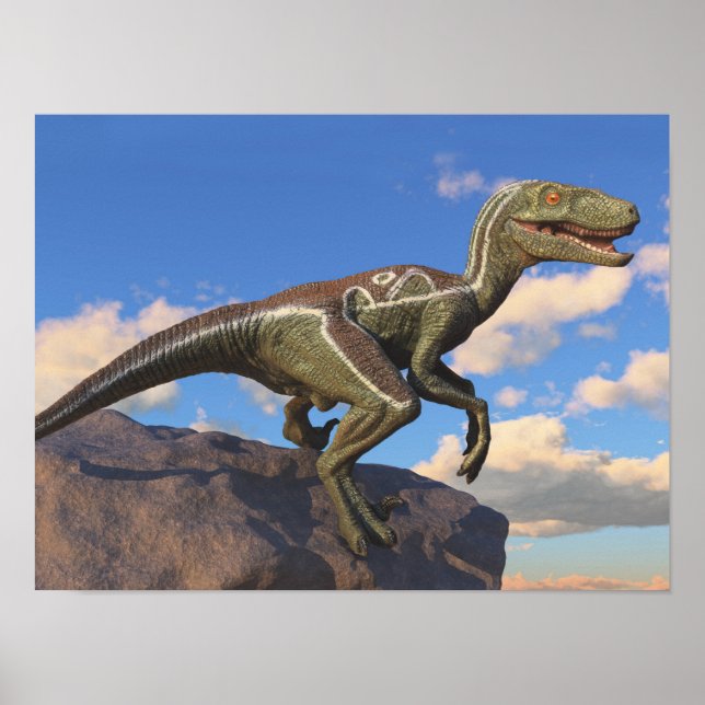 Poster Dinosaure velociraptor bleu à pignon (Devant)
