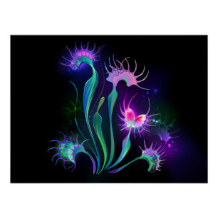 Poster Dionaea piège lumineuse