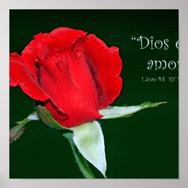 Poster Dios es amor (Cartel de 1 Juan 4:8) (Devant)