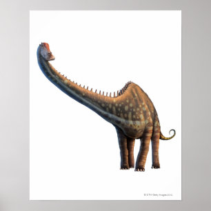 Poster Diplodocus