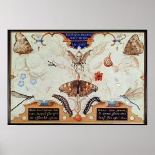 Poster Diptyque avec fleurs et insectes, 1591