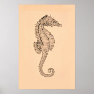 Poster Diptyque vintage I d'hippocampe