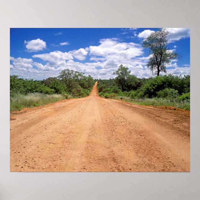 Poster Dirt Road, Parc national de Kruger, Mpumalanga (Devant)