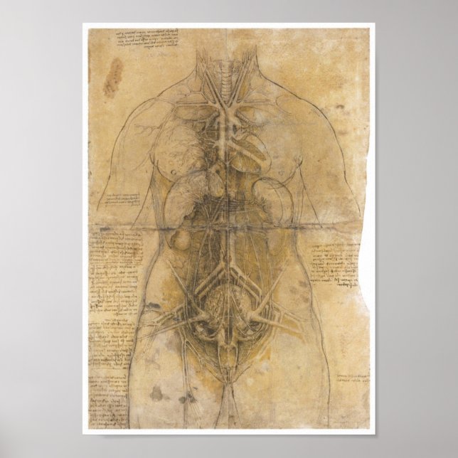 Poster Dissection des organes d'une femme, Da Vinci (Devant)
