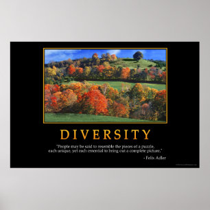 Poster Diversité