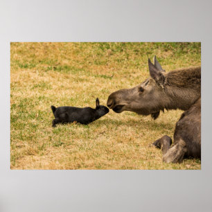 Poster Diversité