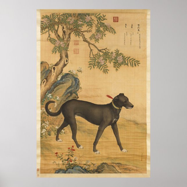 Poster Dix Chiens primés - Xuezhualu (lévriers chinois) (Devant)