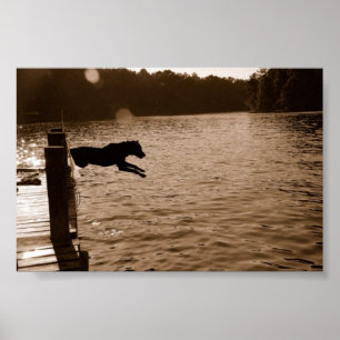 Poster Dixie sautant du quai