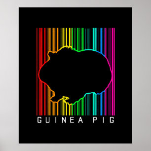 Poster DJ Guinea Pig Techno Edm Animal Rave Star Rainbow
