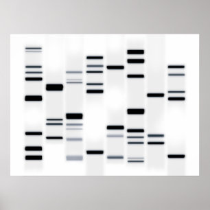 Poster DNA Code Art Black on White