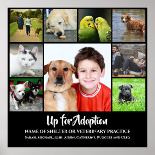 Poster do-it-yourself 9 photo   Adopter un vétérinaire vé