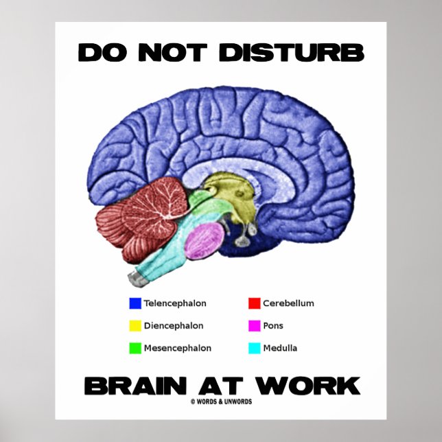 Poster Do Not Disturb Brain At Work (Devant)