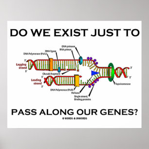 Poster Do We Exist Just To Pass Along Our Genes ?