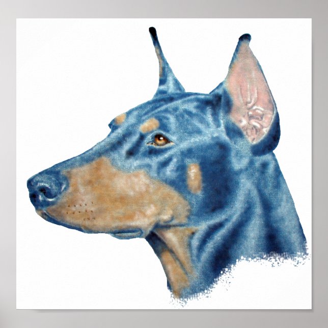 Poster Doberman (Devant)