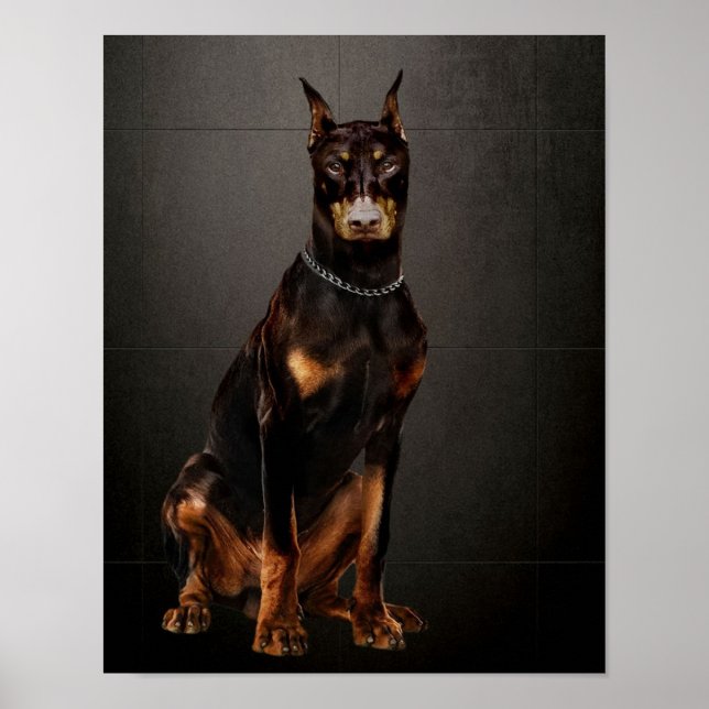 Poster Doberman (Devant)