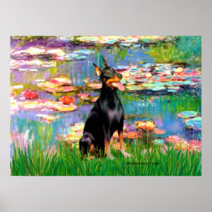 Poster Doberman Pinscher1 - Lys 2