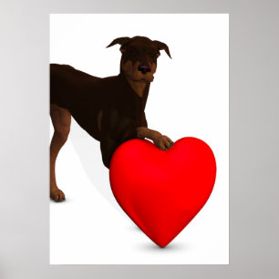 Poster Doberman Pinscher Avec Coeur