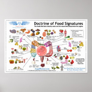 Poster Doctrine des signatures alimentaires