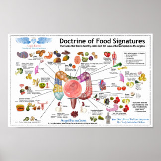 Poster Doctrine des signatures alimentaires