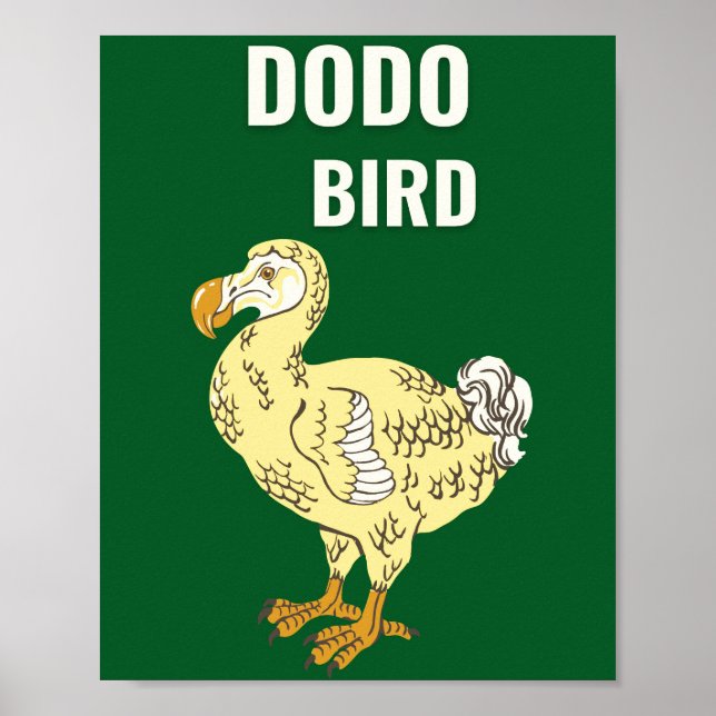 Poster Dodo (Devant)